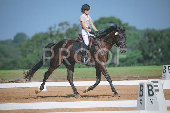 RWP_4647