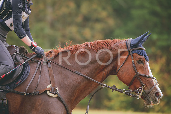 RWP_2032