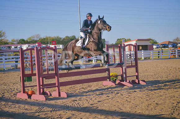 DSC_2382