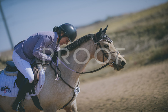 JJS_3591