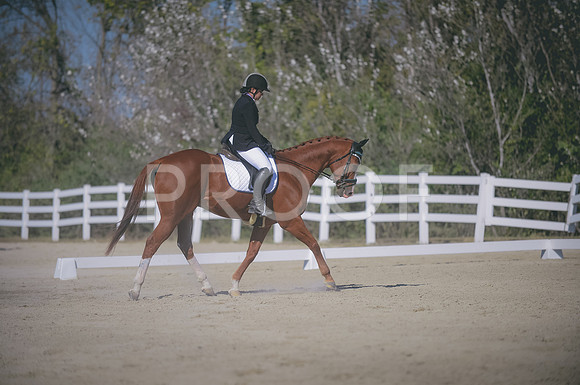 JJS_4332