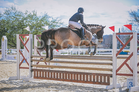 DSC_0917 copy