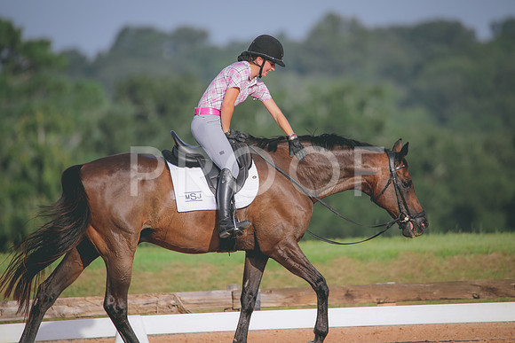RWP_4365