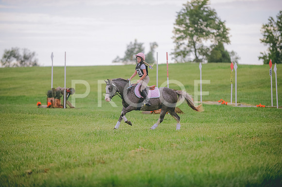 JJS_1491