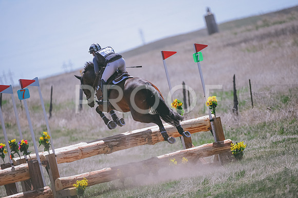 DSC_8404