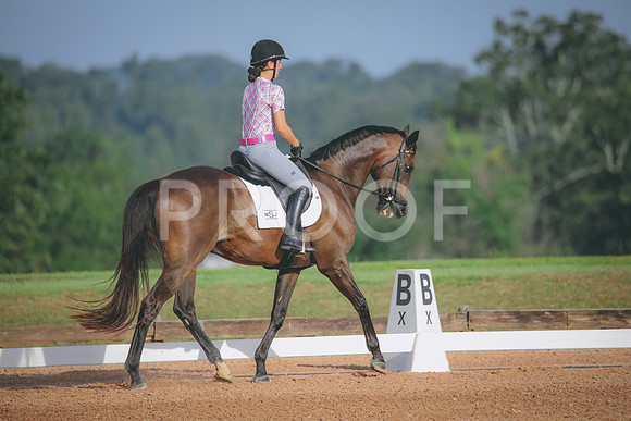 RWP_4353