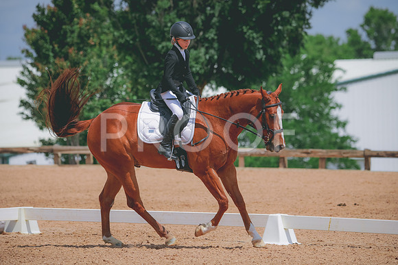 RWP_4443