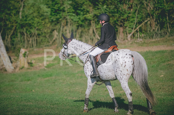 JJS_8433