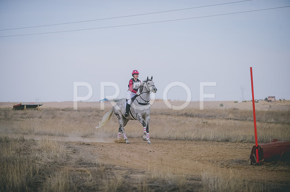 JJS_4629A