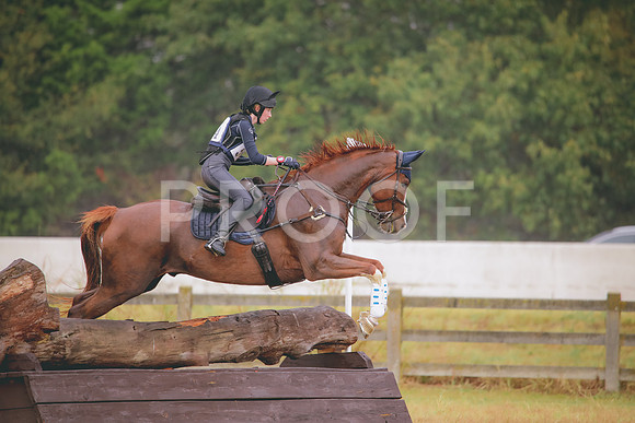 RWP_2019