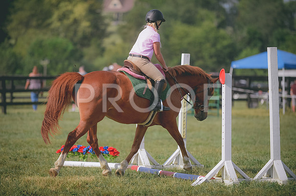 JJS_3914