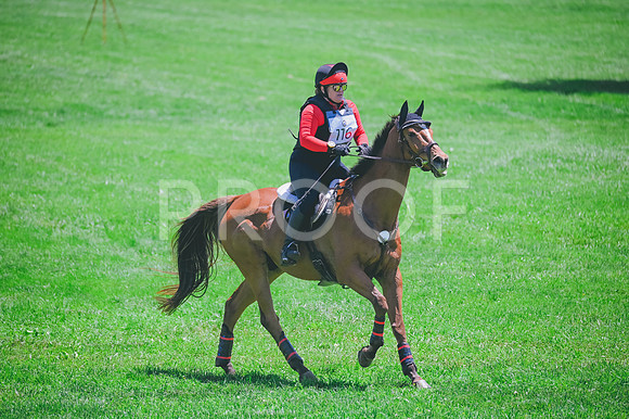 CRR_1451