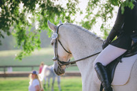 RWP_3622