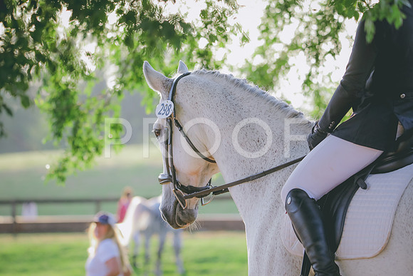 RWP_3622
