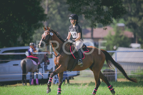 RWP_6266