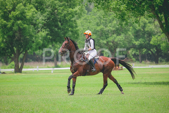 RWP_2329
