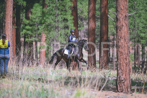 DSC_6168