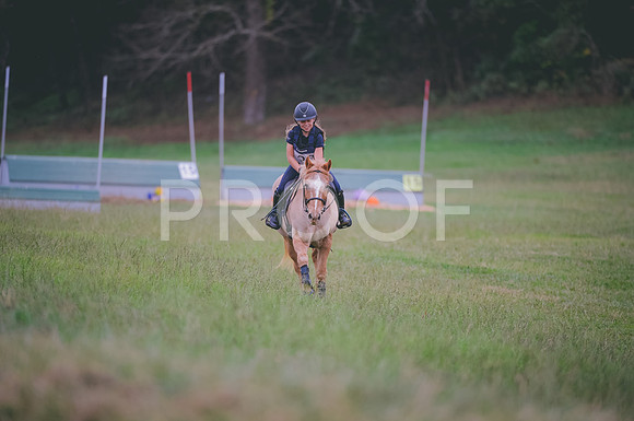 JJS_5238