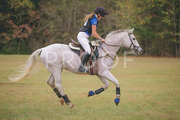 RWP_3217