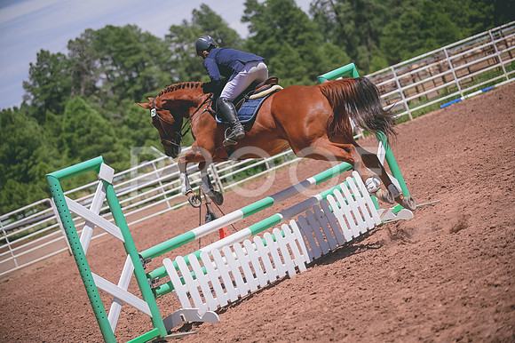 DSC_4908