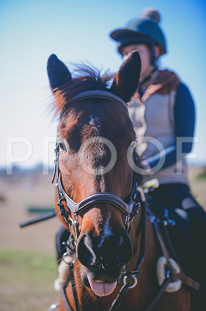 JJS_0495