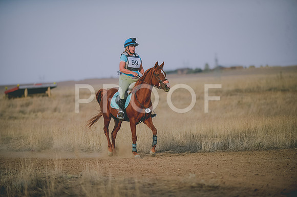 JJS_6202