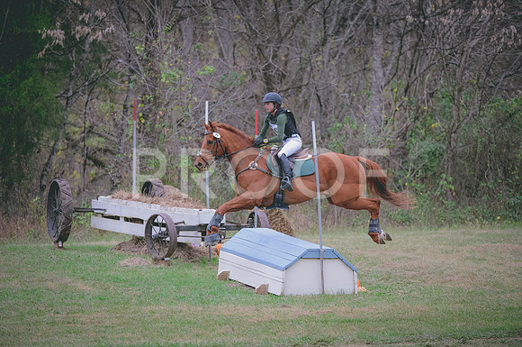 JJS_1406