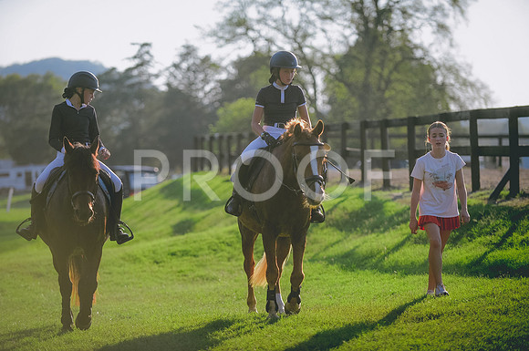 JJS_0881
