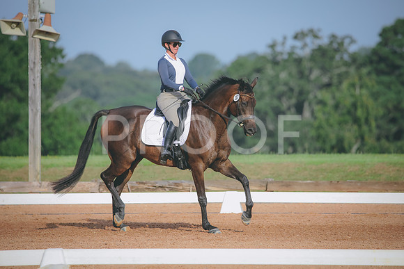 RWP_4402