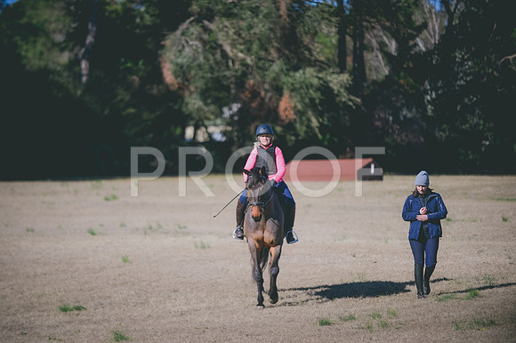 JJS_4071