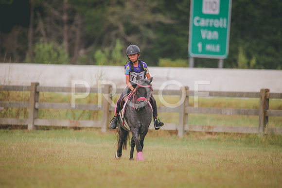 RWP_3856