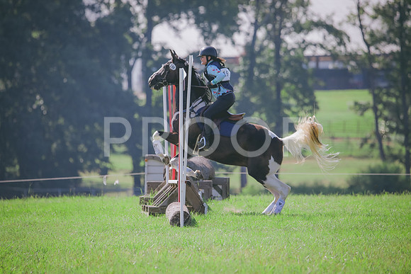 RWP_6375