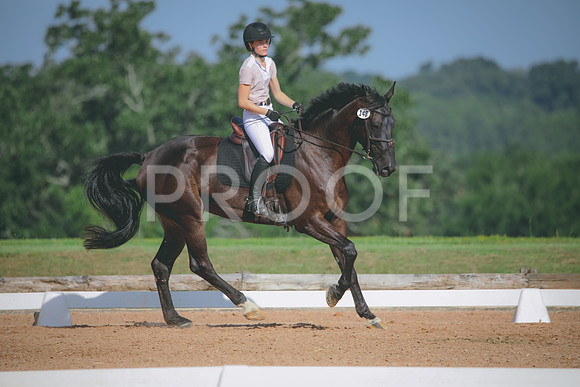 RWP_4644