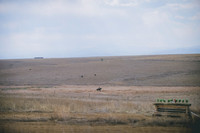 JJS_1401