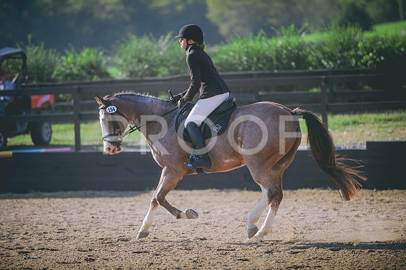 JJS_8014