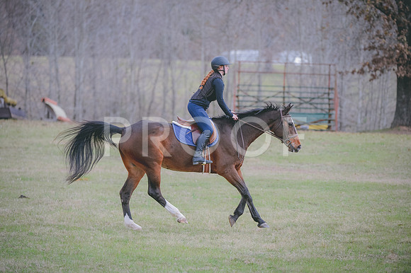 JJS_0306