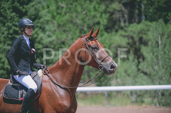 JJS_1176A