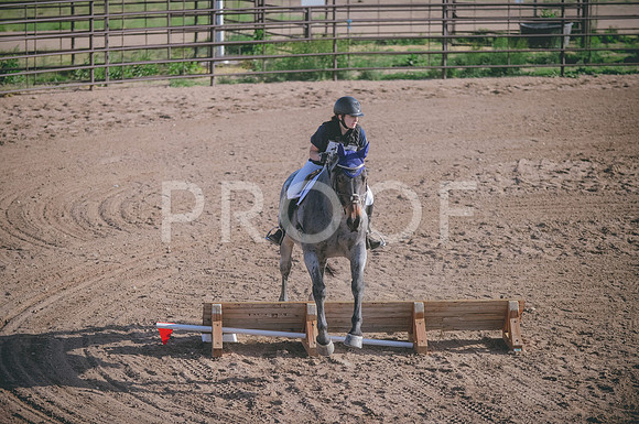 000_5316