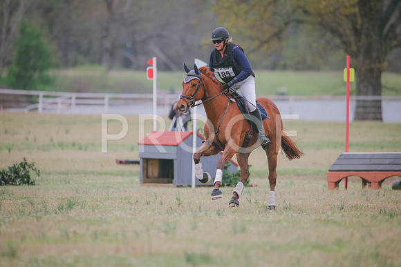 RWP_8317