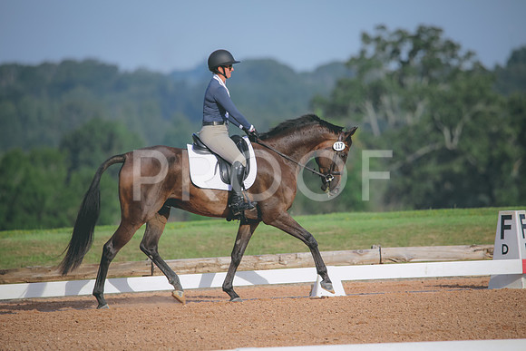 RWP_4387