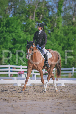 DSC_7210