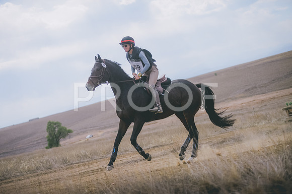 JJS_1562