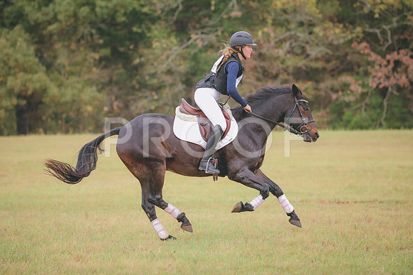 RWP_3491