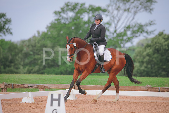 RWP_4168