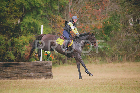 RWP_3376