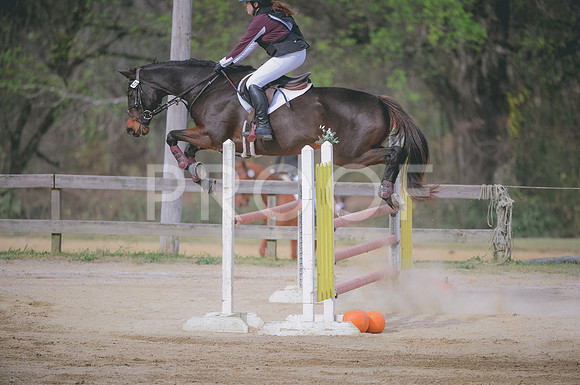 JJS_0226