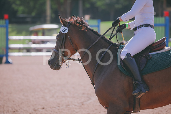 RWP_4674