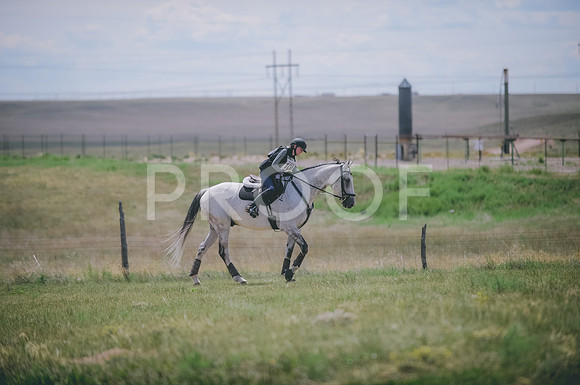 JJS_1233
