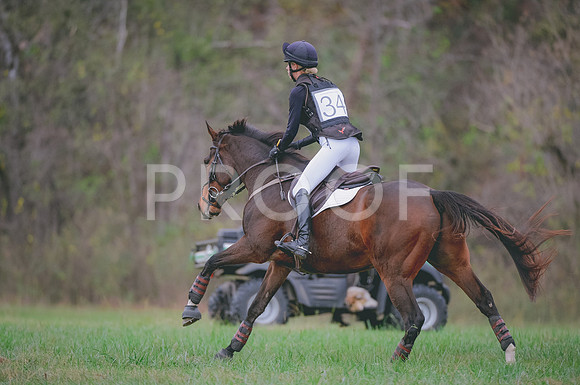 JJS_0938A