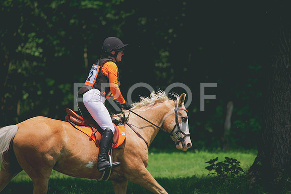 RWP_3932